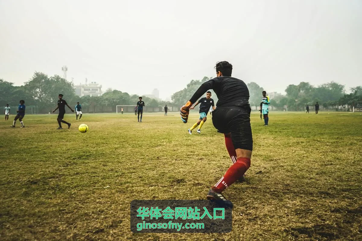华体会网站入口 栏目导航示意