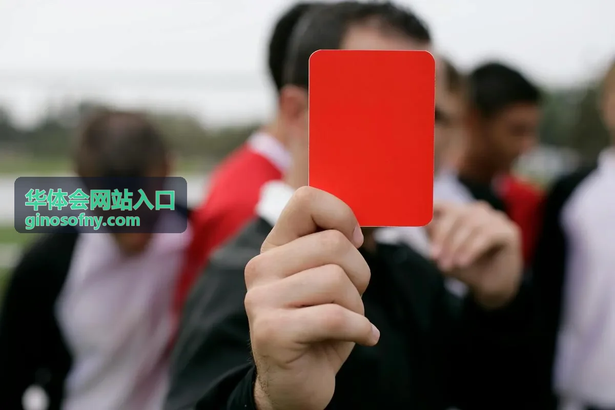 华体会网站入口 站内搜索入口示意