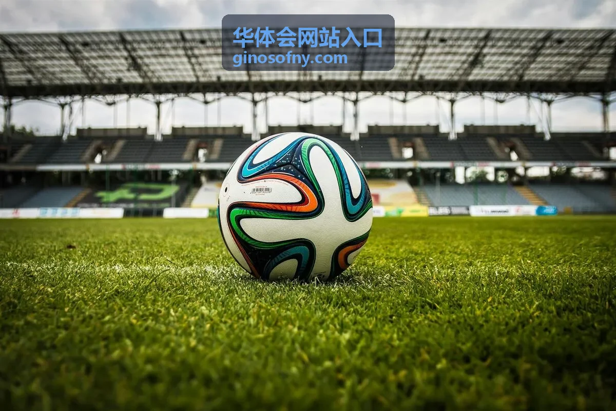 华体会网站入口 页面用途说明入口示意