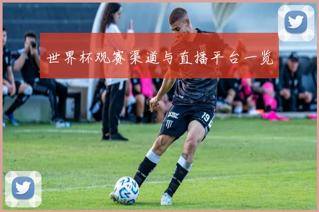 世界杯观赛渠道与直播平台一览