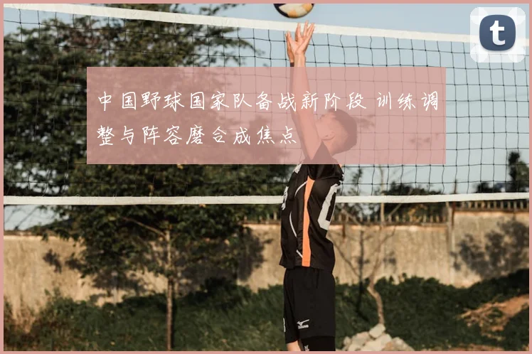 中国野球国家队备战新阶段 训练调整与阵容磨合成焦点