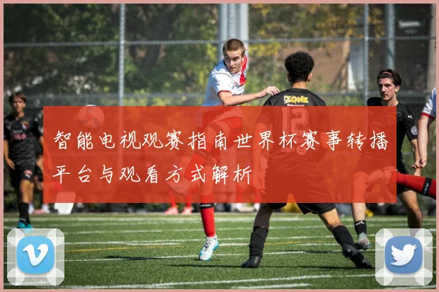 智能电视观赛指南世界杯赛事转播平台与观看方式解析