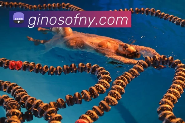 App Interface Preview