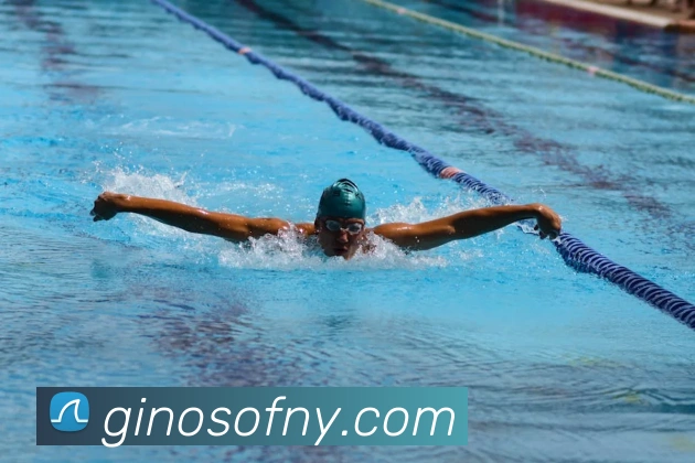 开云官方在线登陆入口APP 封面图